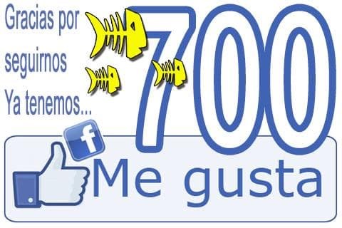 ¡¡¡GRACIAS POR LOS 700 "me gusta" de FACEBOOK!!!